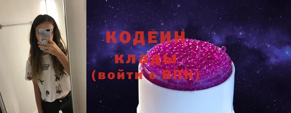 крисы Абаза