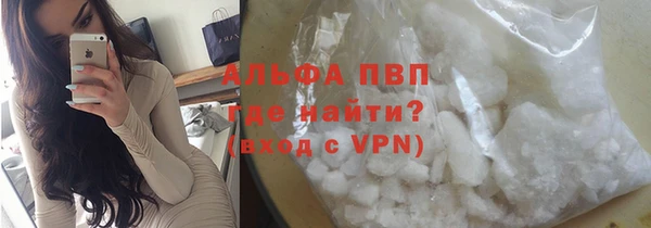крисы Абаза