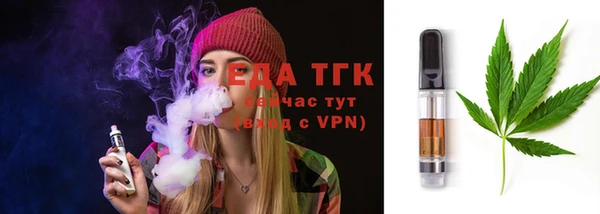крисы Абаза