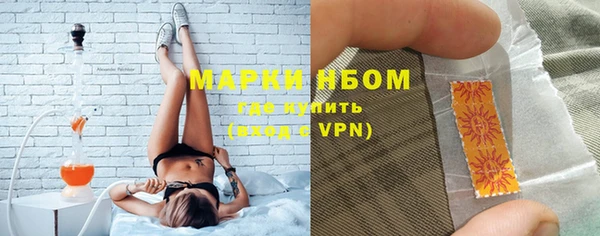 крисы Абаза