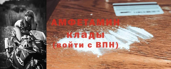 крисы Абаза