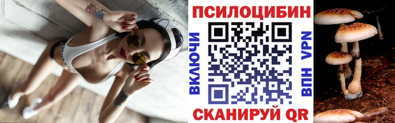 Галлюциногенные грибы Psilocybine cubensis закладки KRAKEN зеркало Сызрань